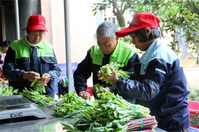 吉祥网址:路德科技(688156)：2026年度以简易程序向特定对象发行A股股票方案的论证分析报告